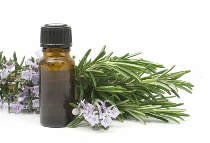 free aromatherapy recipes for your house