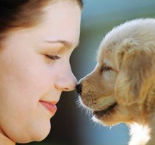 aromatherapy for dog