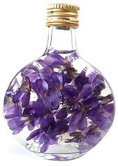 Violets in groundnut oil
