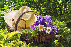 Aromatherapy and Nature Crafts