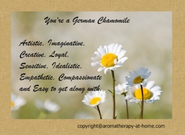 German Chamomile