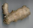 Ginger Essential Oils
