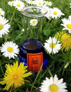 health safety using aromatherapy