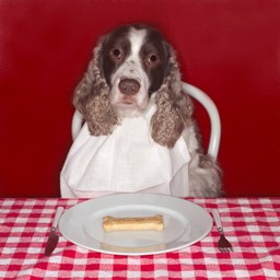 homemade dog treat