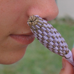Smell Lavender Wands